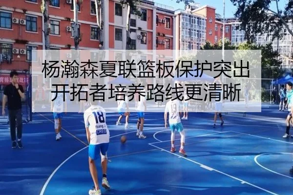 杨瀚森夏联篮板保护突出 开拓者培养路线更清晰