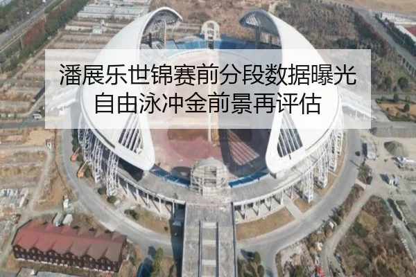 潘展乐世锦赛前分段数据曝光 自由泳冲金前景再评估